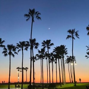 Meet your Posher, Yasmine